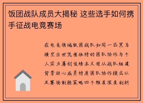 饭团战队成员大揭秘 这些选手如何携手征战电竞赛场