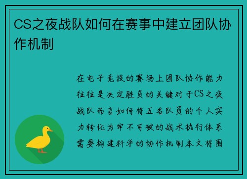 CS之夜战队如何在赛事中建立团队协作机制